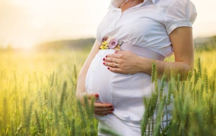 dispelling the myths about surrogacy