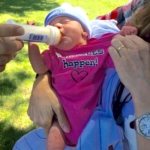 family source consultants annual family celebration picnic