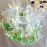 family source consultants annual family celebration picnic