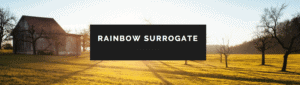 Rainbow Surrogate