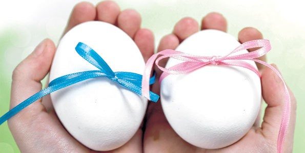 choosing an egg donor (ed)