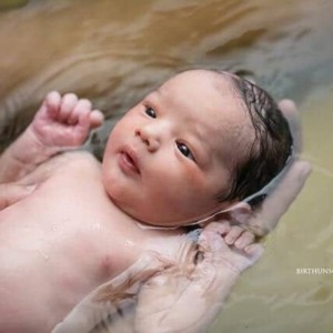 egg donor updates! may 2017