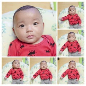 egg donor updates! may 2017