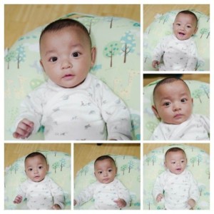 egg donor updates! may 2017