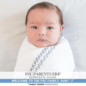 surrogacy updates! june 2017