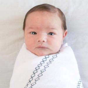 egg donor updates! june 2017