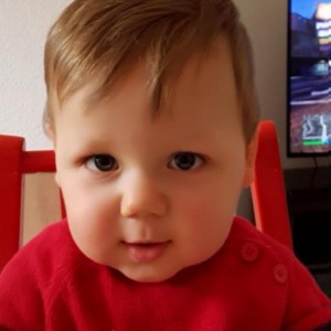 egg donor updates! june 2017