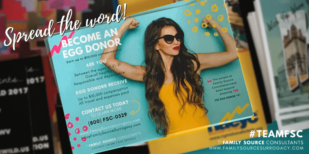egg donor updates! july 2017 egg donor updates! july 2017