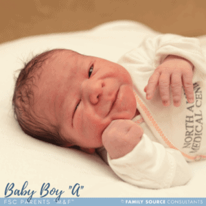 surrogacy updates! august 2017