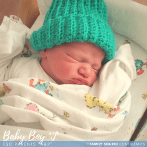 surrogacy updates! august 2017