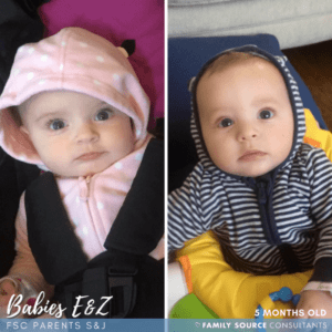 surrogacy updates! august 2017