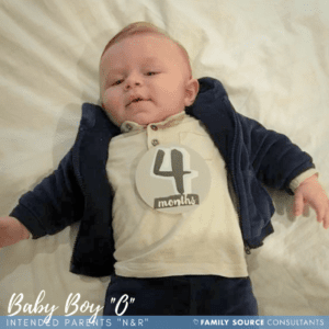 surrogacy updates! august 2017