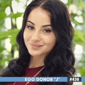 egg donor updates! august 2017