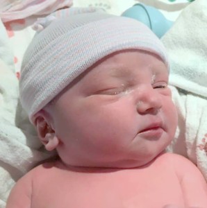 recent surrogacy & egg donation births & baby updates