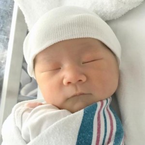 surrogacy updates! september 2017