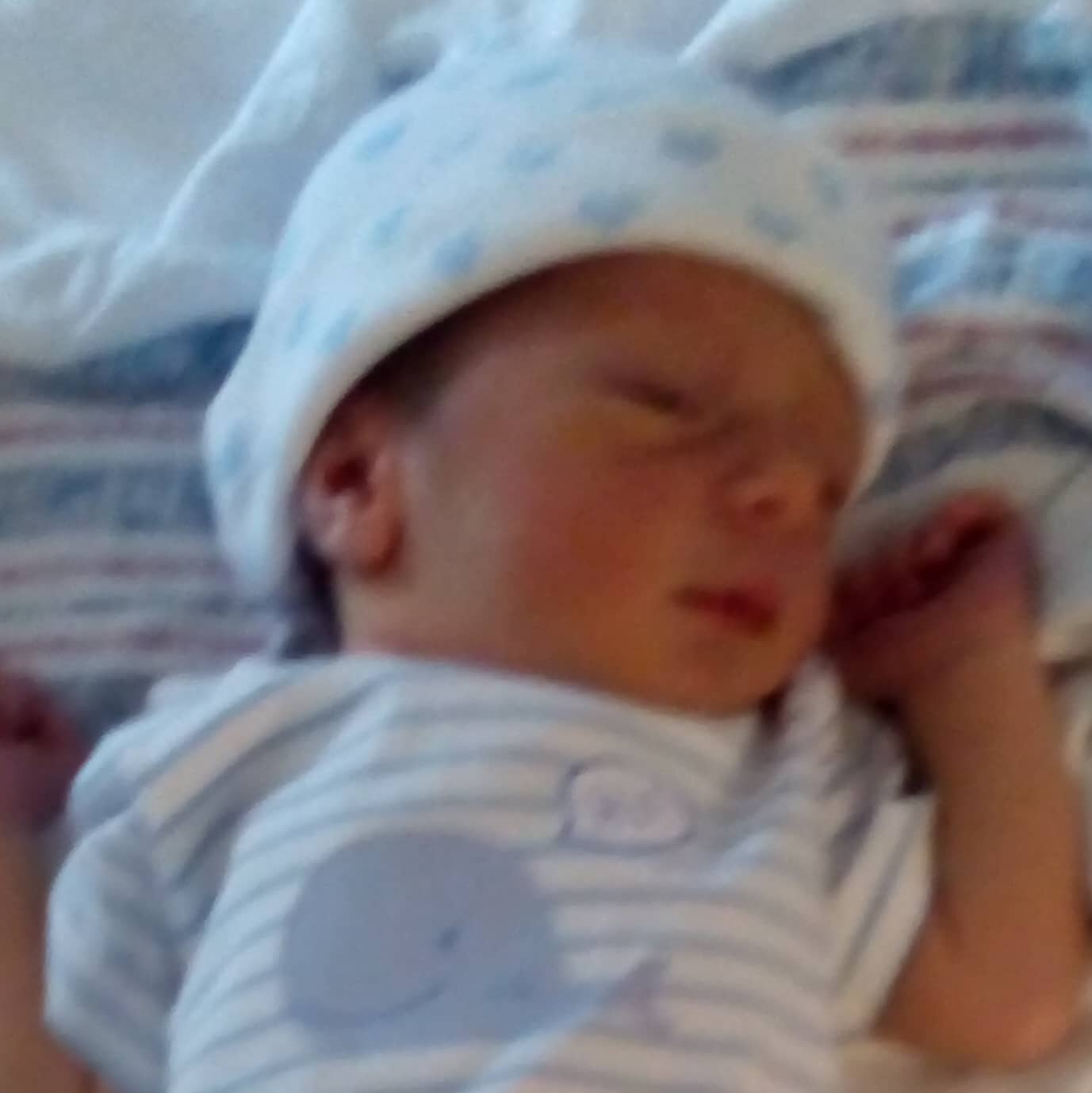 teamfsc babies born through surrogacy in 2017