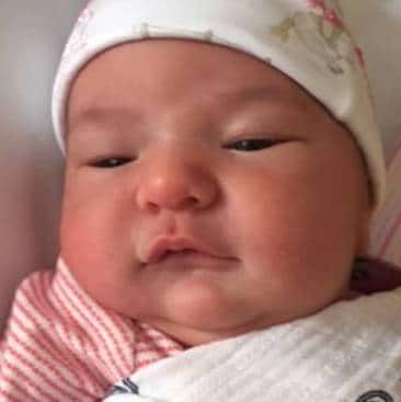 teamfsc babies born through surrogacy in 2017