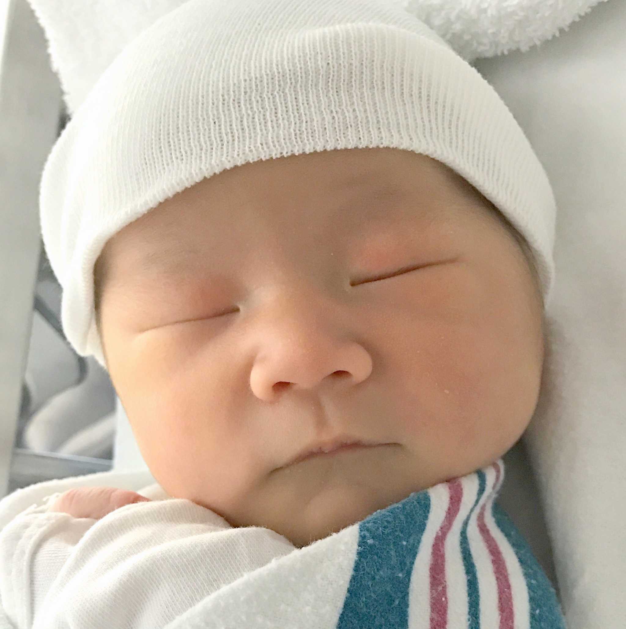 teamfsc babies born through surrogacy in 2017