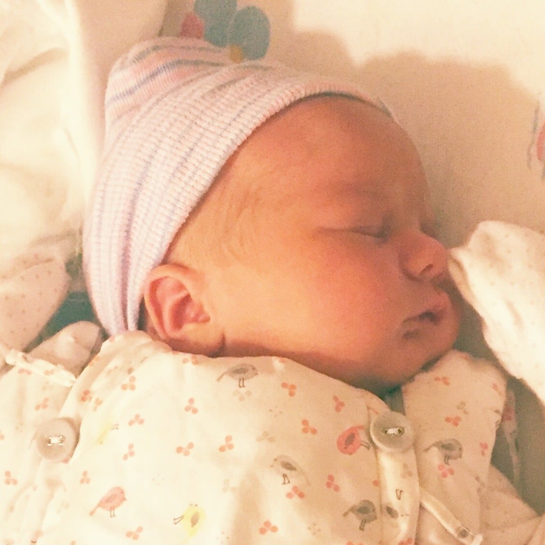 teamfsc babies born through surrogacy in 2017