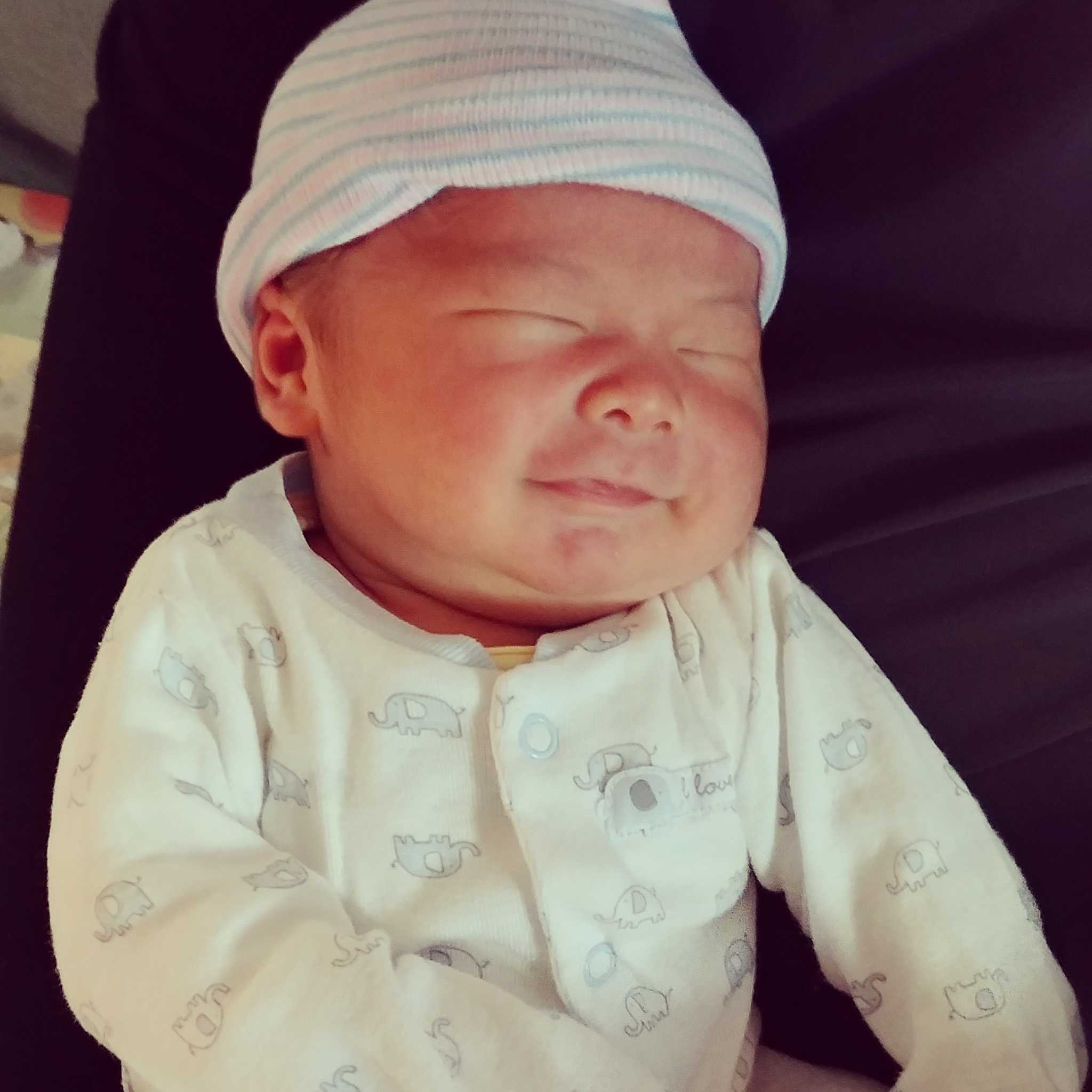 teamfsc babies born through surrogacy in 2017