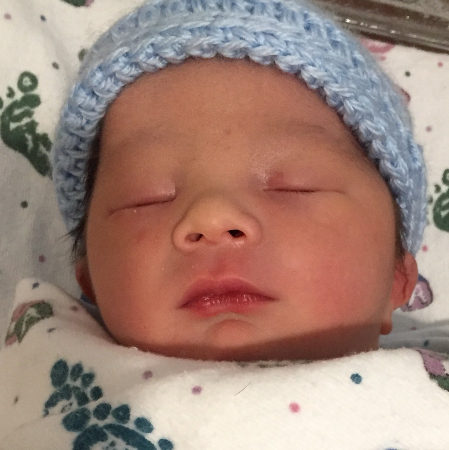 teamfsc babies born through surrogacy in 2017
