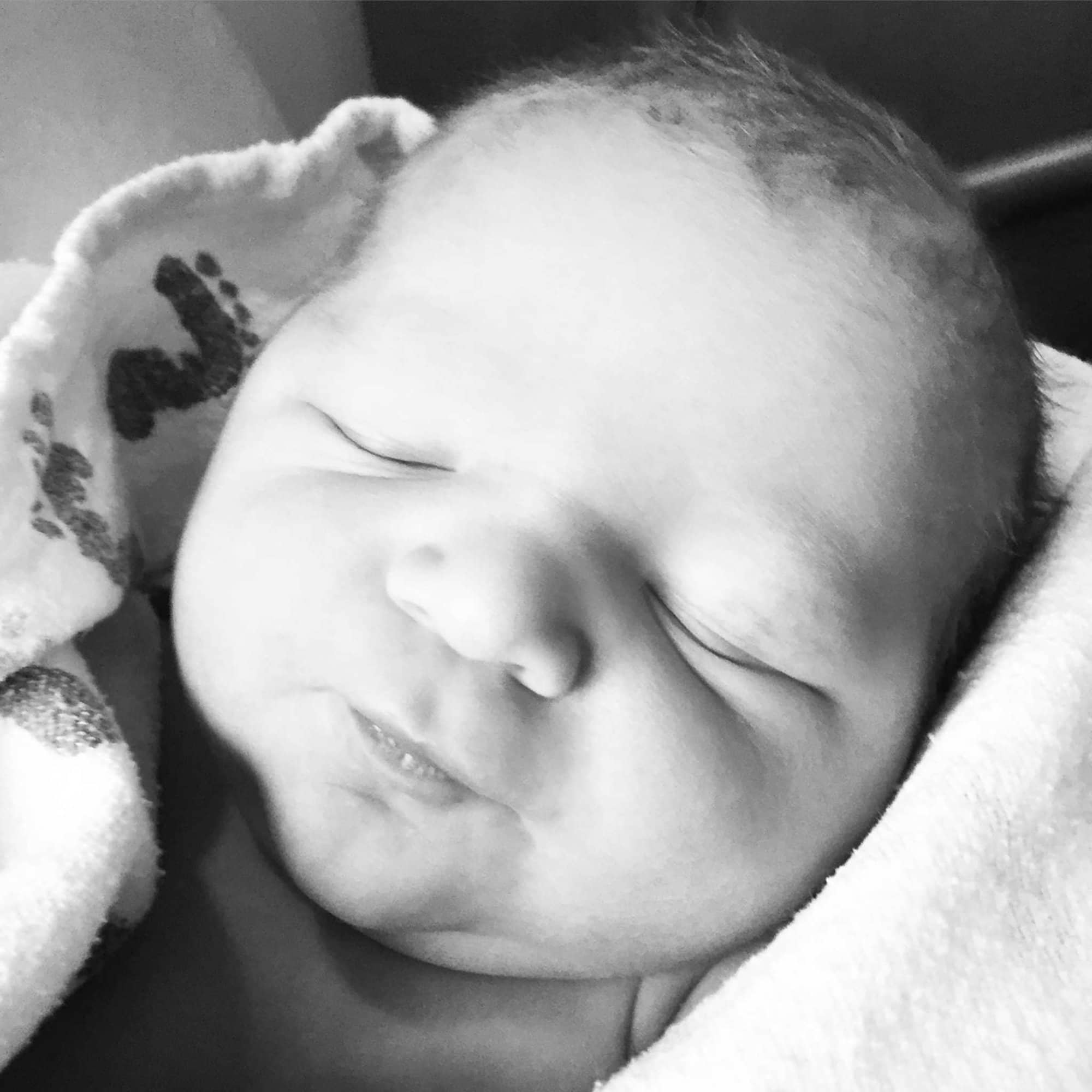 teamfsc babies born through surrogacy in 2017