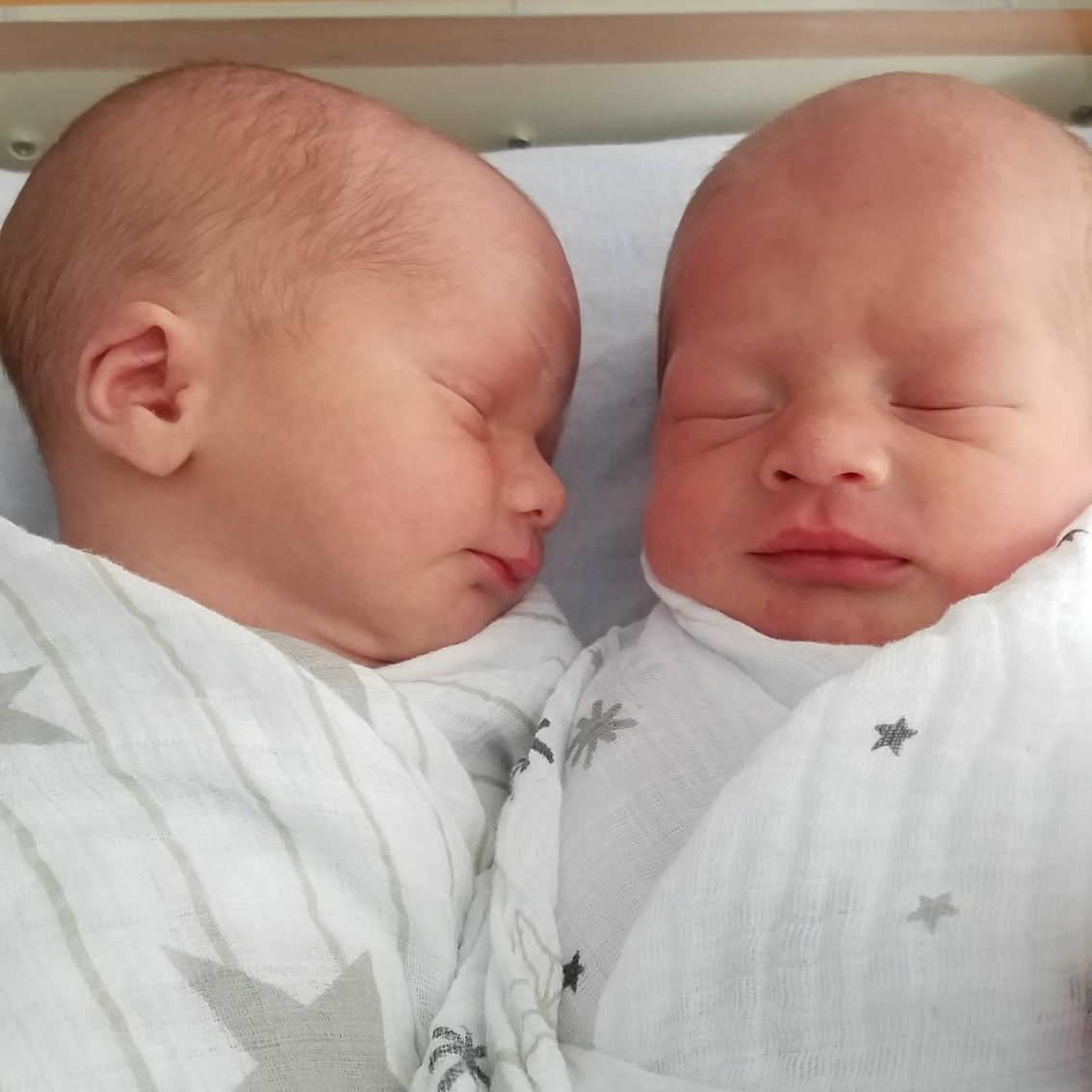 teamfsc babies born through surrogacy in 2017