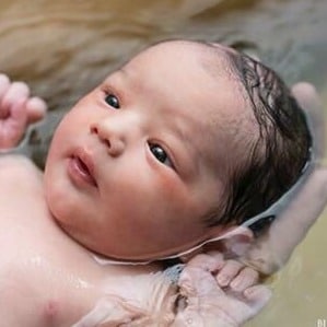 teamfsc babies born through surrogacy in 2017