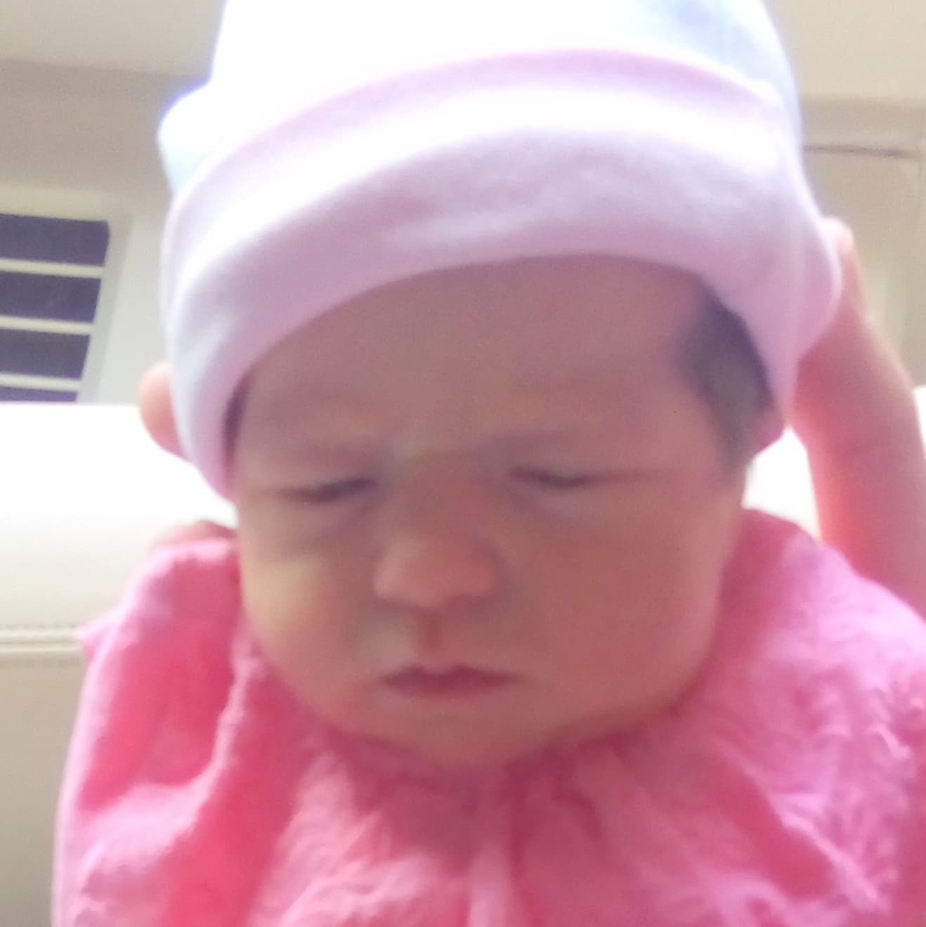 teamfsc babies born through surrogacy in 2017