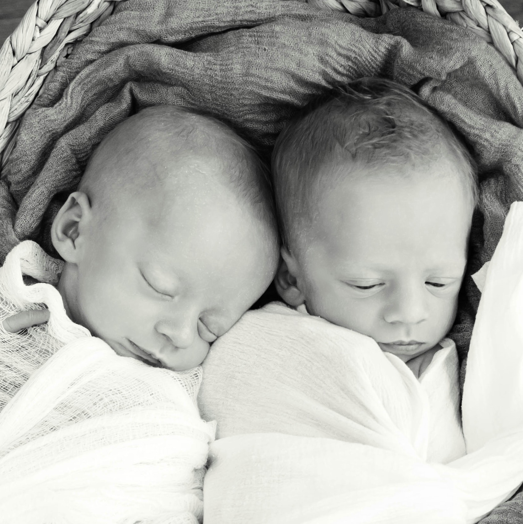 teamfsc babies born through surrogacy in 2017