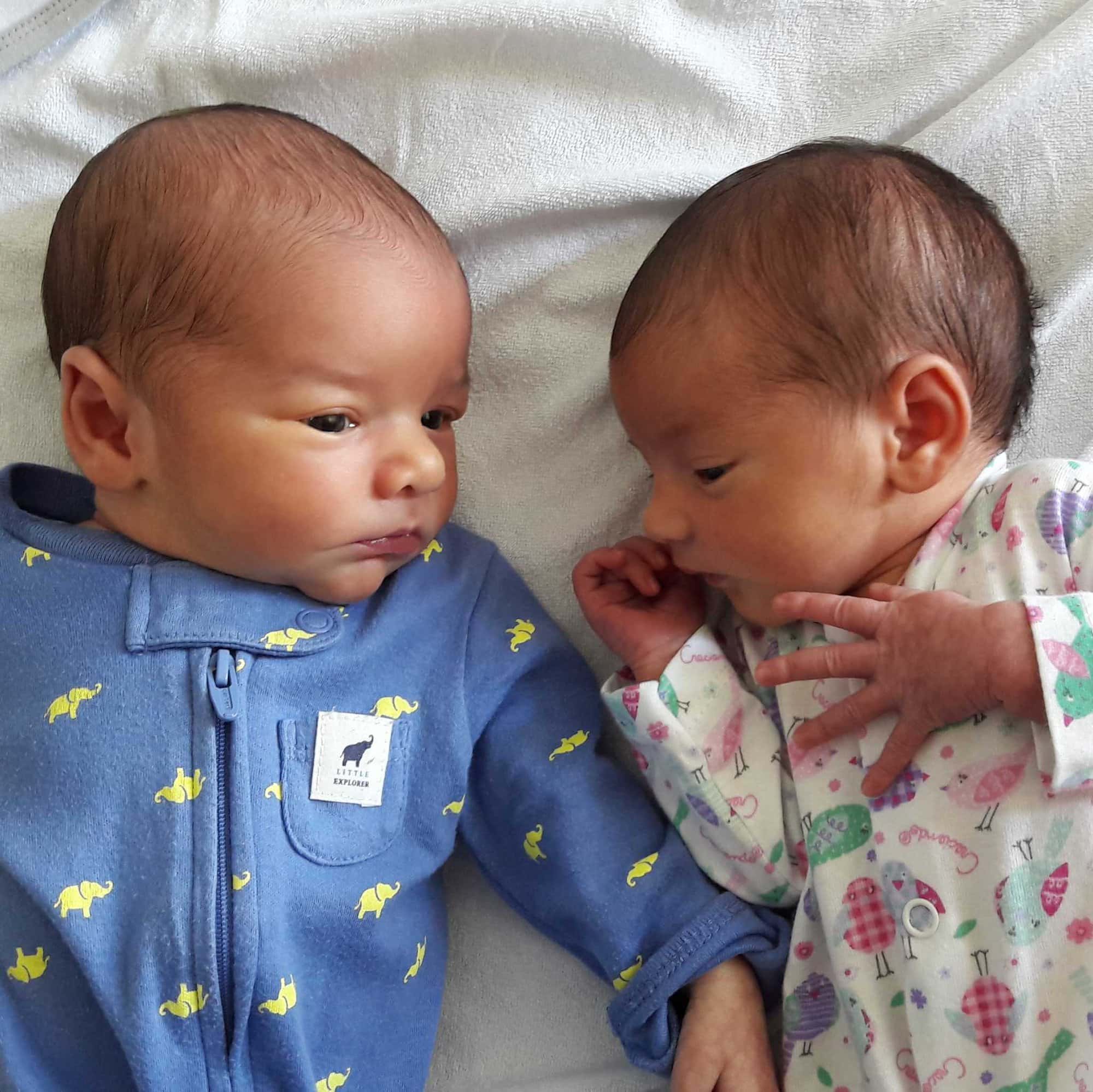 teamfsc babies born through surrogacy in 2017