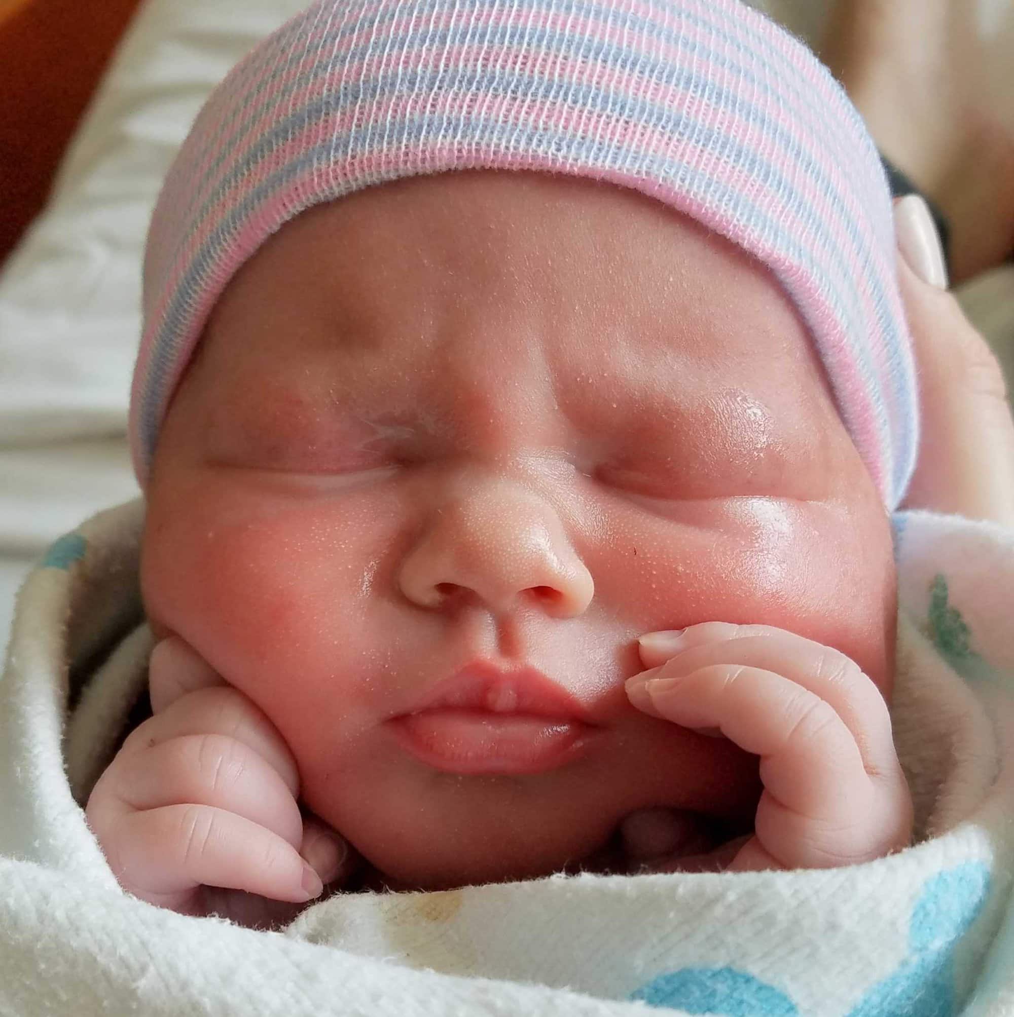 teamfsc babies born through surrogacy in 2017