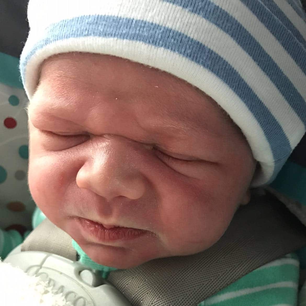 teamfsc babies born through surrogacy in 2017
