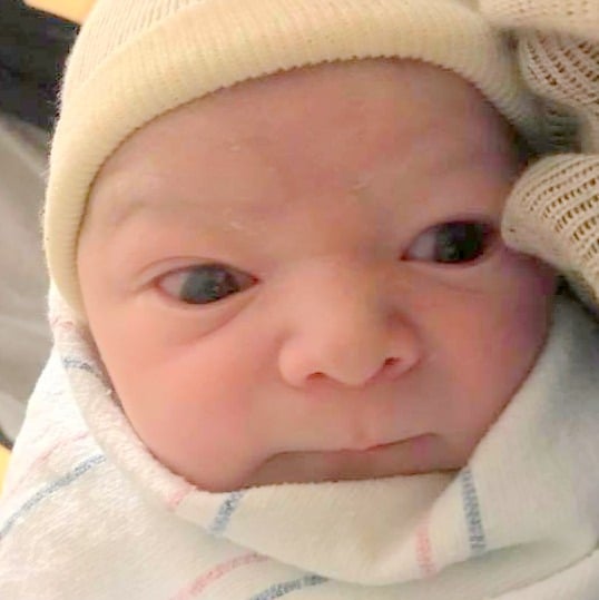 teamfsc babies born through surrogacy in 2017