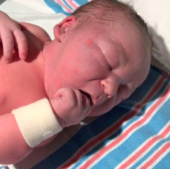teamfsc babies born through surrogacy in 2017