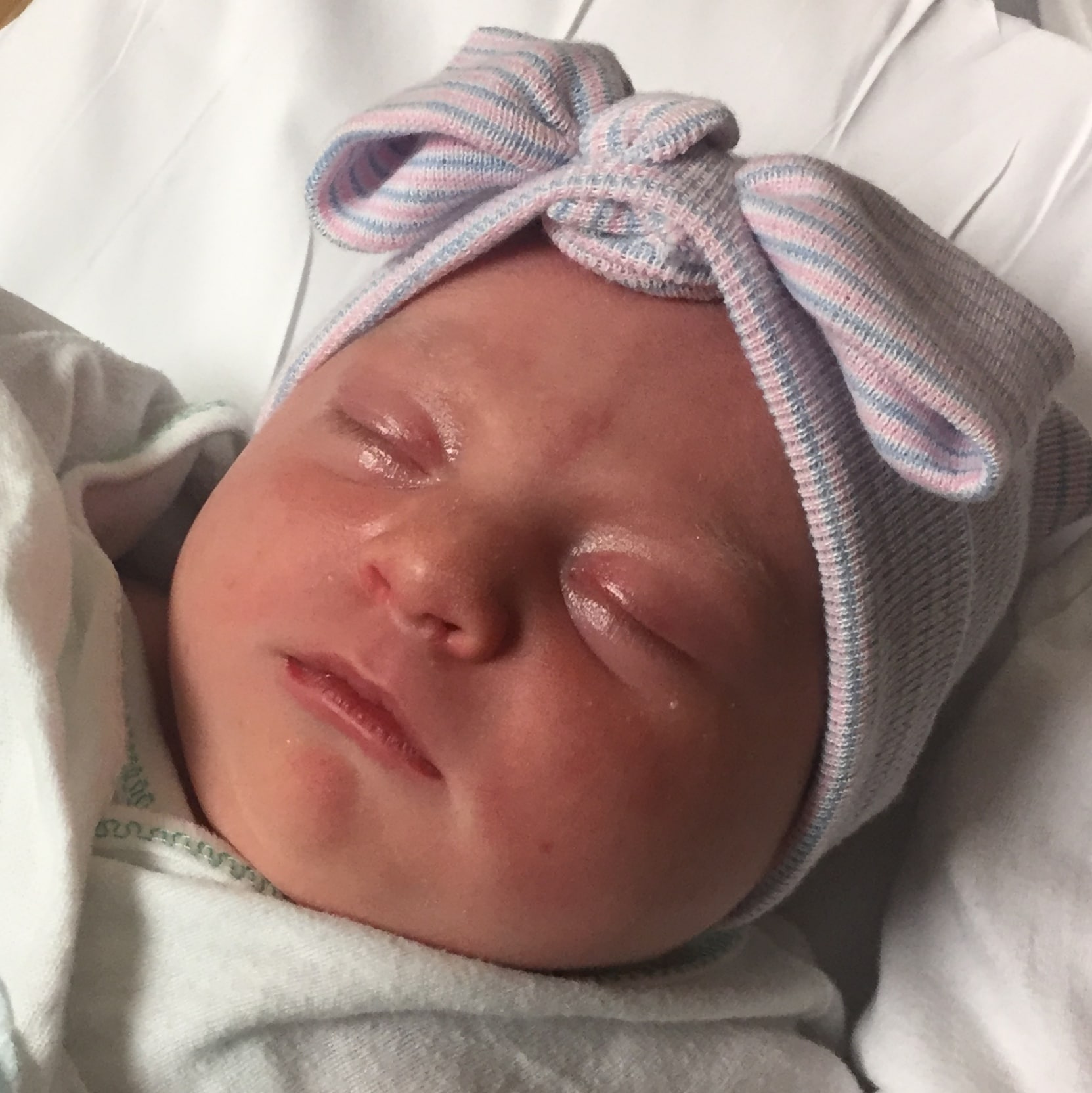 teamfsc babies born through surrogacy in 2017