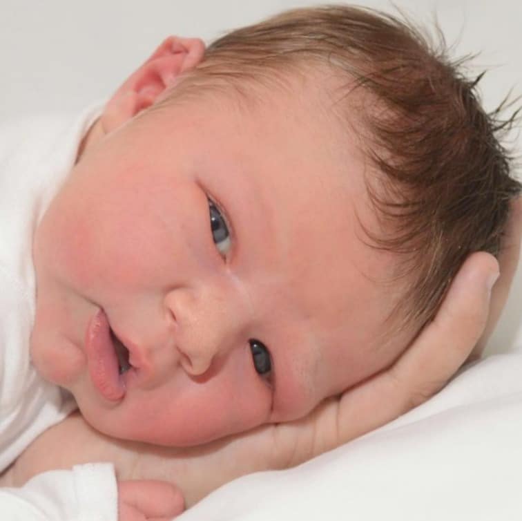 teamfsc babies born through surrogacy in 2017