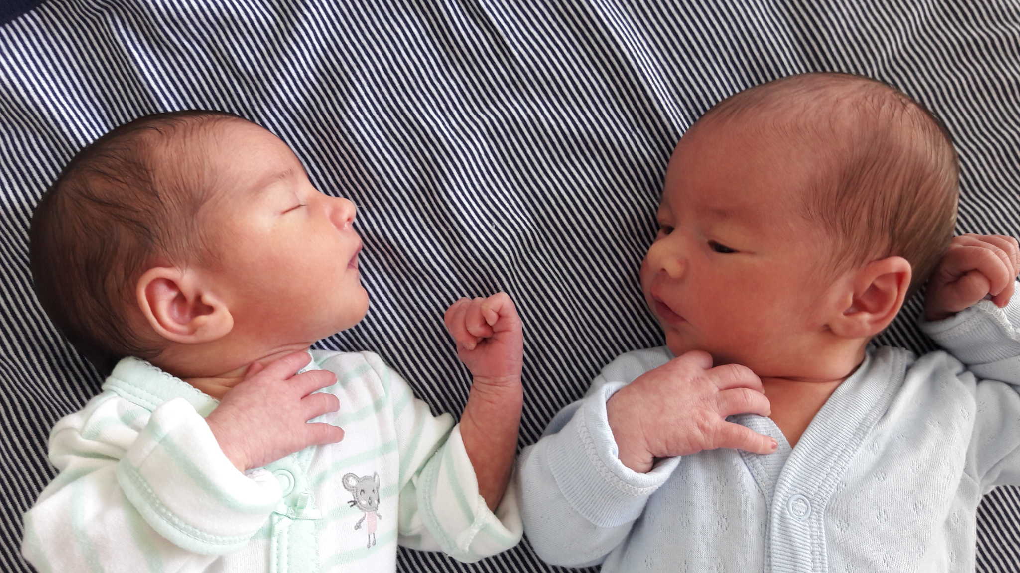 welcome to the fsc family, babies j&c!