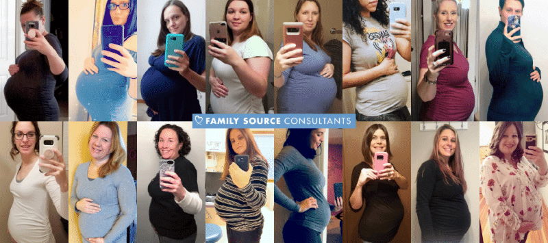 teamfsc surrogacy program updates • february 2018