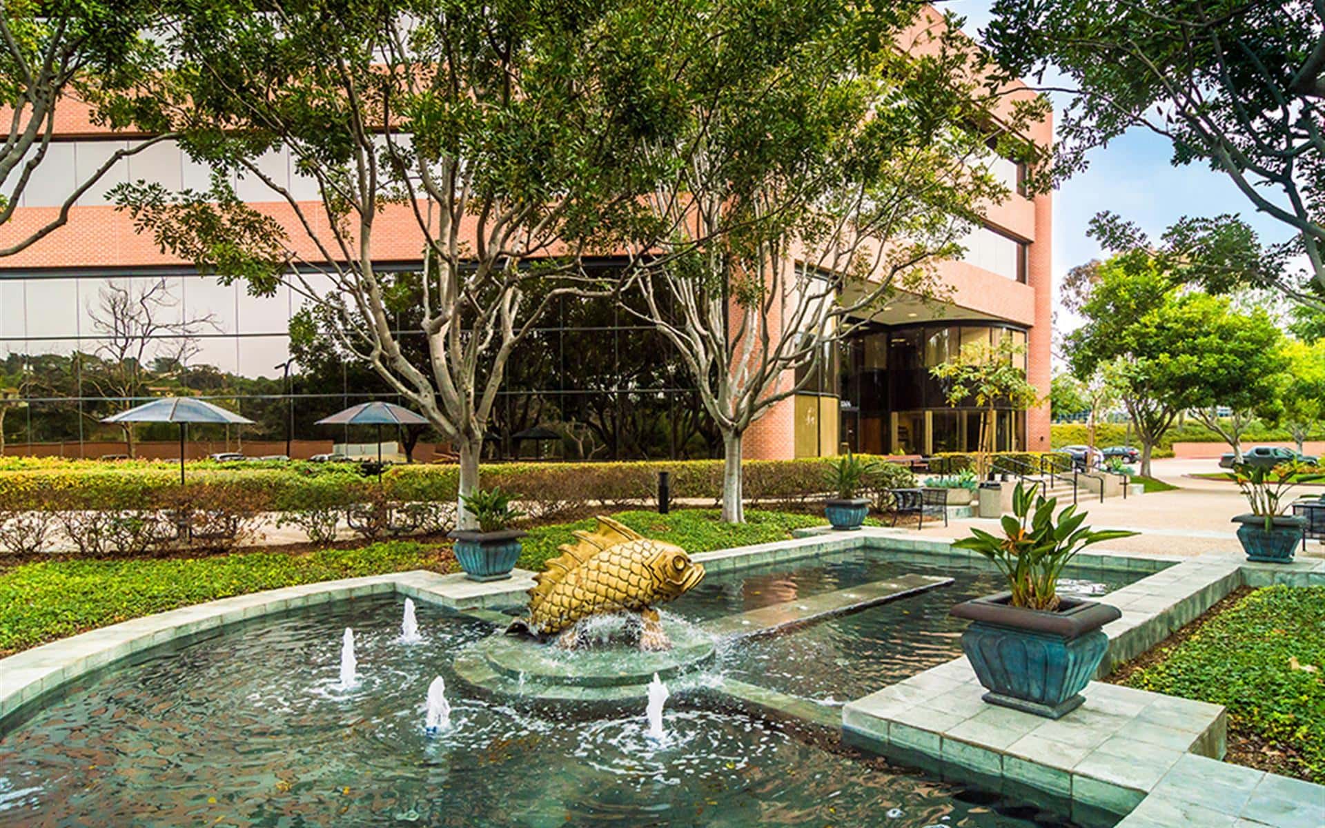 family source continues mission to simplify surrogacy & egg donation agency process with san diego, california satellite location