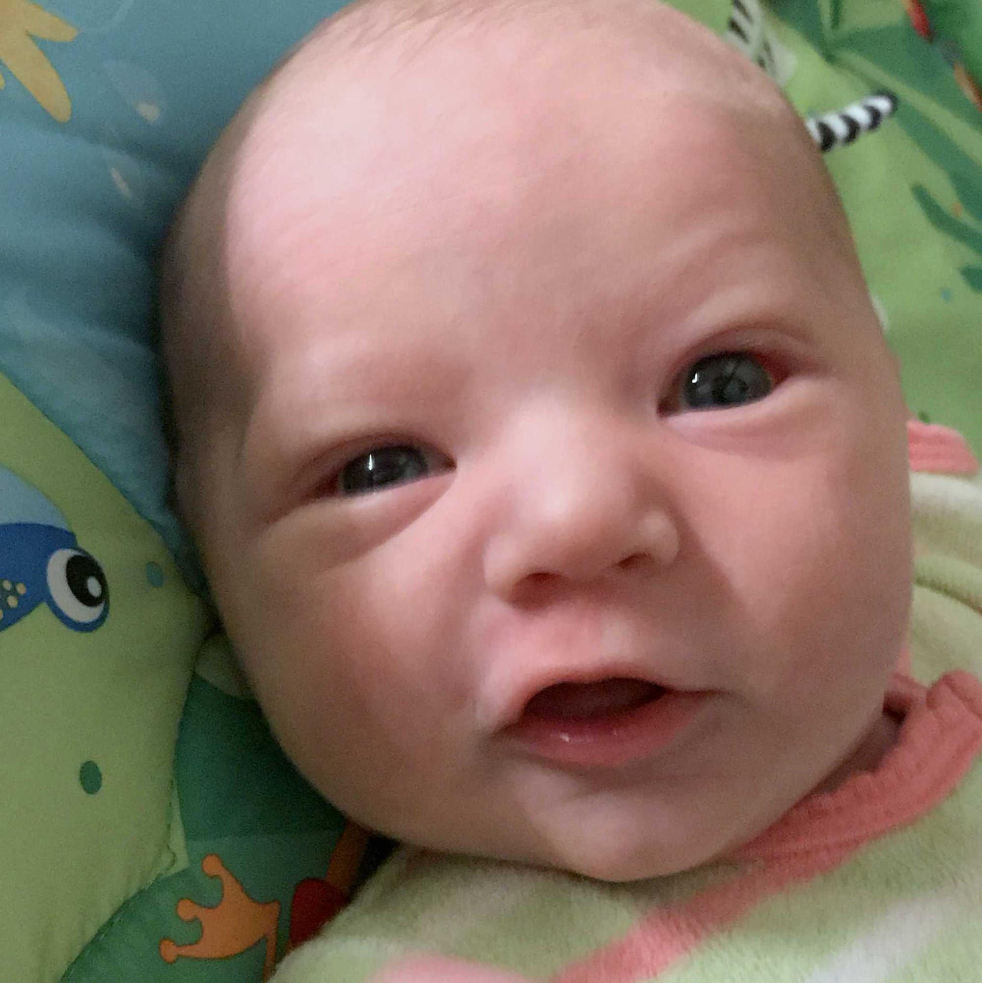 surrogate spotlight: brooke f.