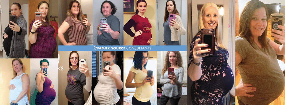 teamfsc surrogacy program updates • march 2018