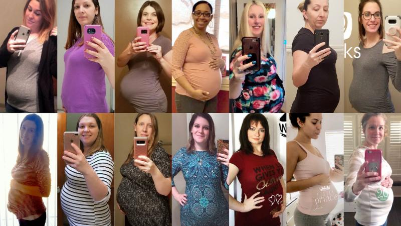 teamfsc surrogacy program updates • april 2018