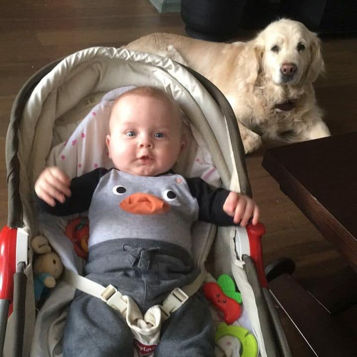 births & family updates • april 2018