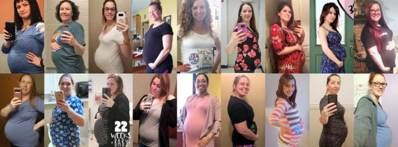 surrogacy program updates • may 2018