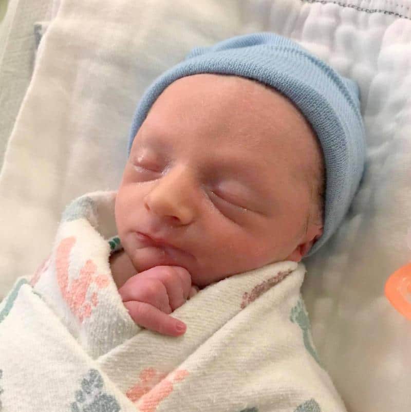 surrogacy program updates • june 2018
