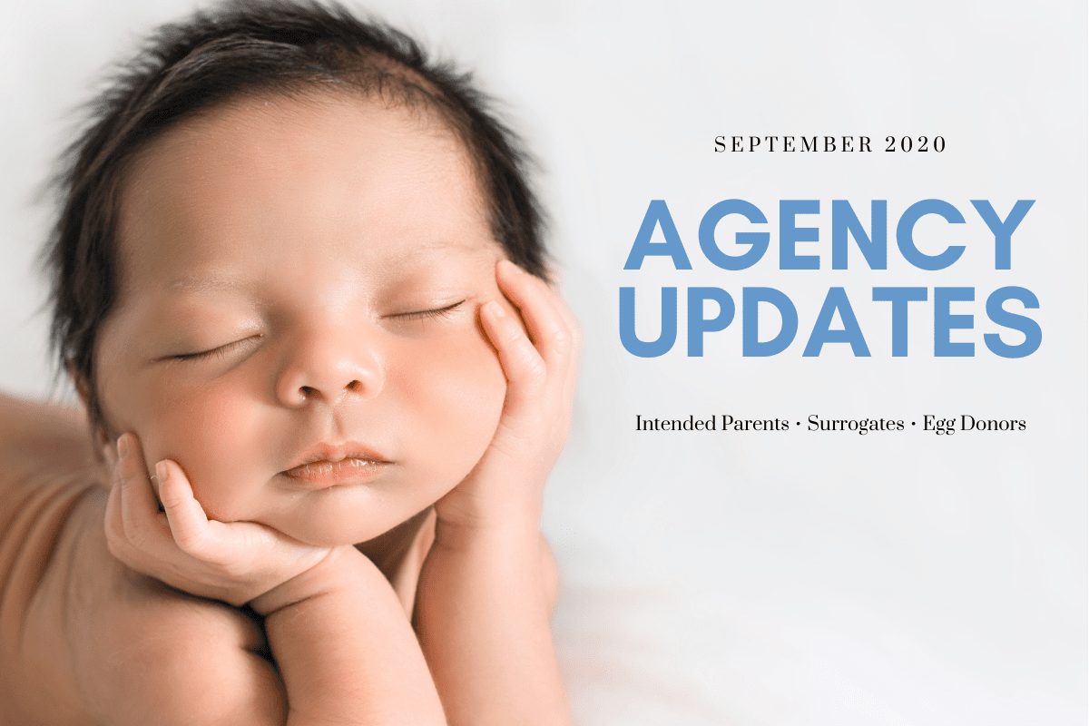 teamfsc agency updates – september 2020