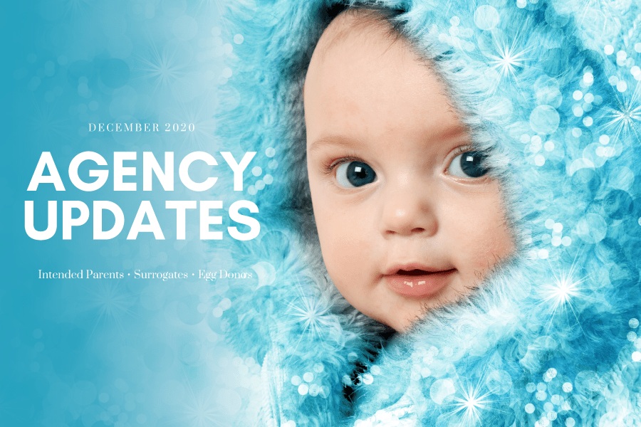 teamfsc agency updates – december 2020