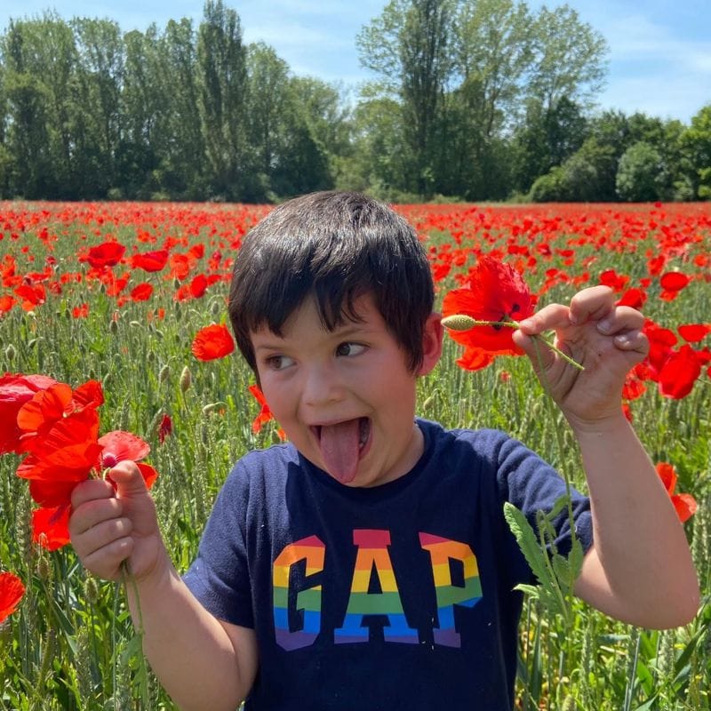 teamfsc agency updates – july 2021