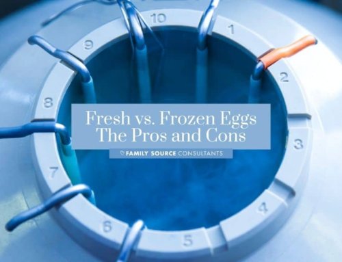 Fresh vs. Frozen Eggs: The Pros and Cons